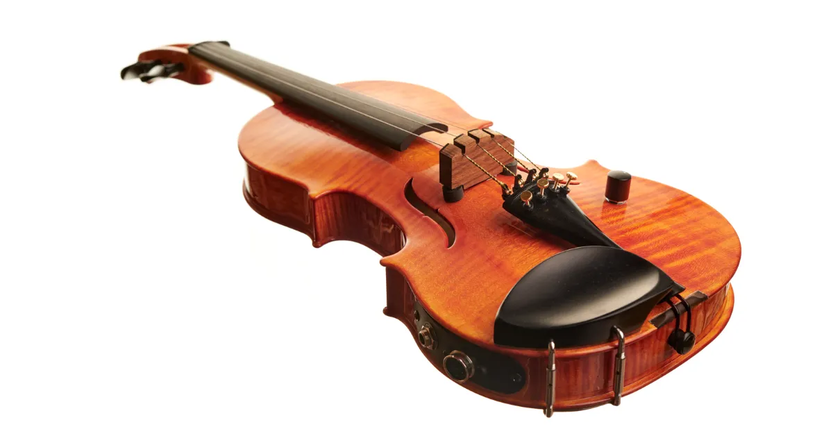 types of violins for beginners 2