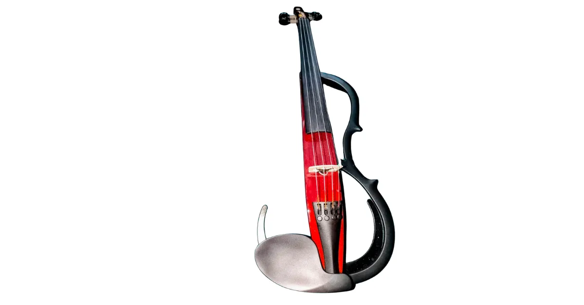 types of violins for beginners 3