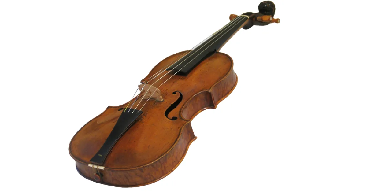 types of violins for beginners 5