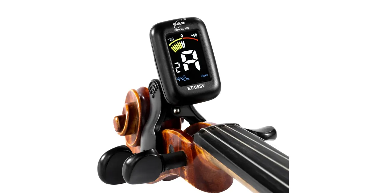 why choose the violin in India