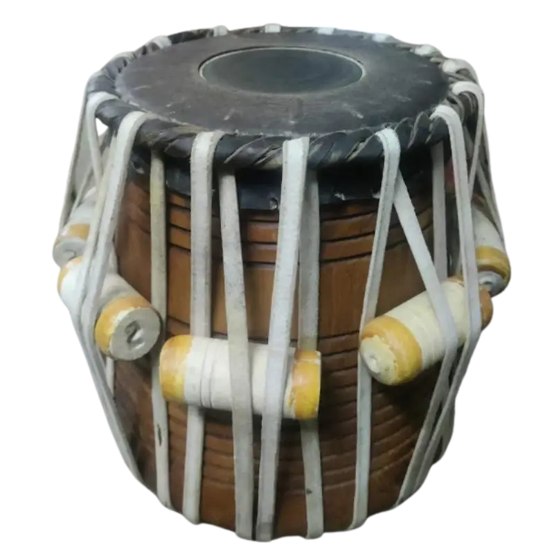 Musical Instrument Services at NMS Musicals