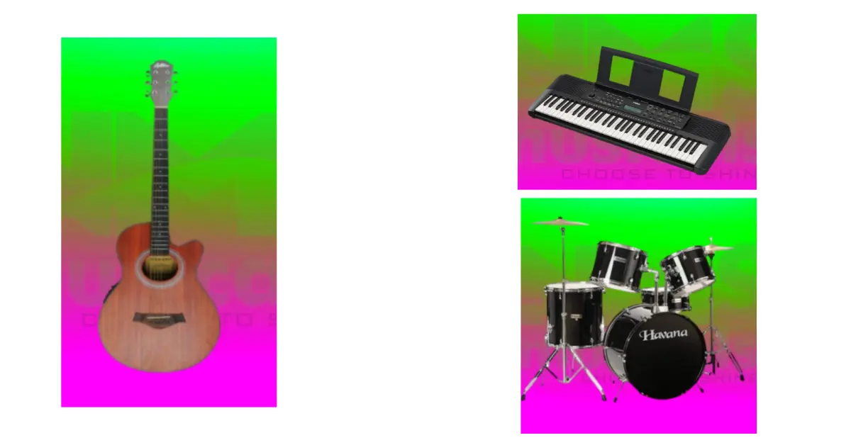 Best Indian Instrument Beginner Personality Guide 1