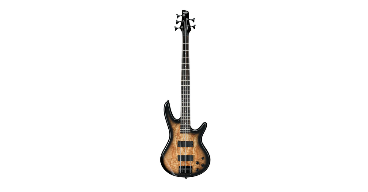 Choosing Right Electric Bass Guitar for Your Style