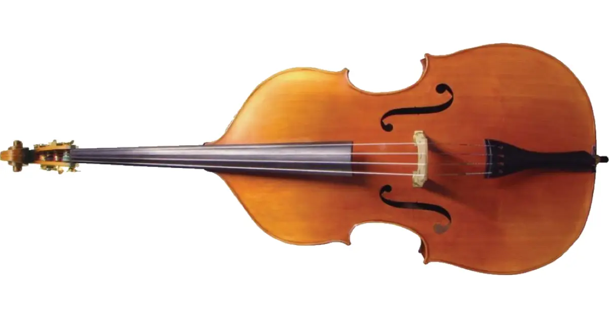 Top 10 Best Instruments for Jazz Powerful Beginner Guide 2 Double Bass