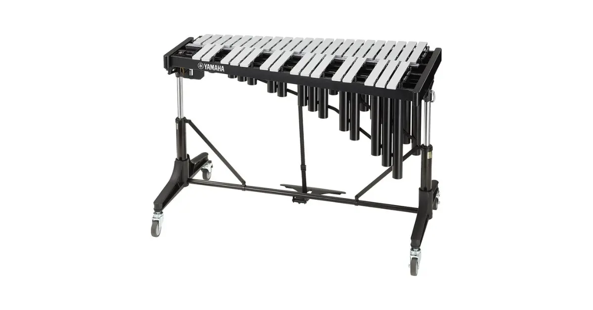 Top 10 Best Instruments for Jazz Powerful Beginner Guide Vibraphone