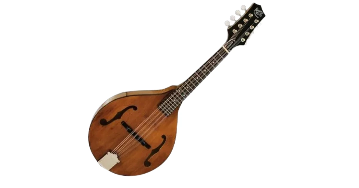 Why the Mandolin is Perfect for Bluegrass Music 5