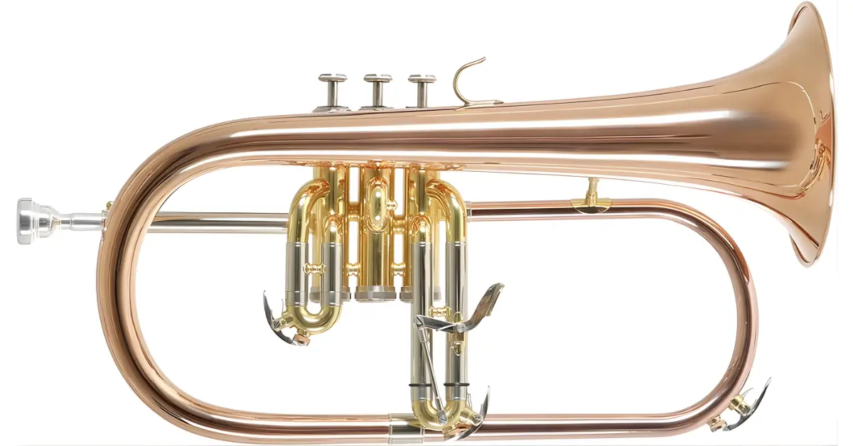 5 Best Brass Instruments for Beginners Flugelhorn