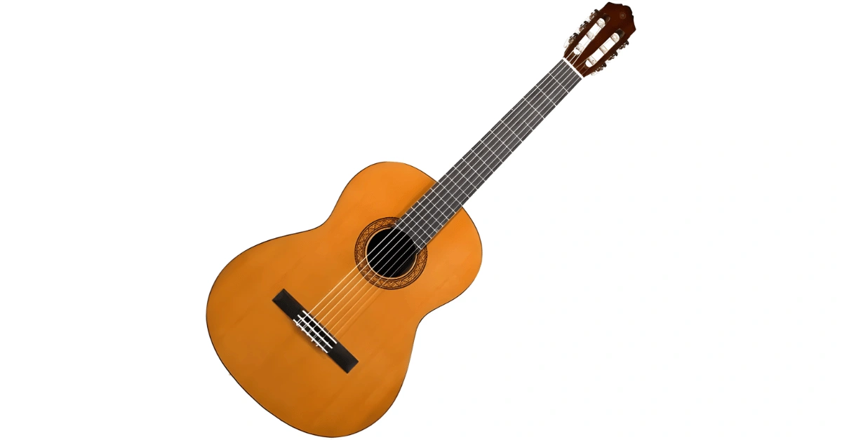Powerful Evolution of Guitar From Acoustic to Electric Acoustic Bass Guitar 