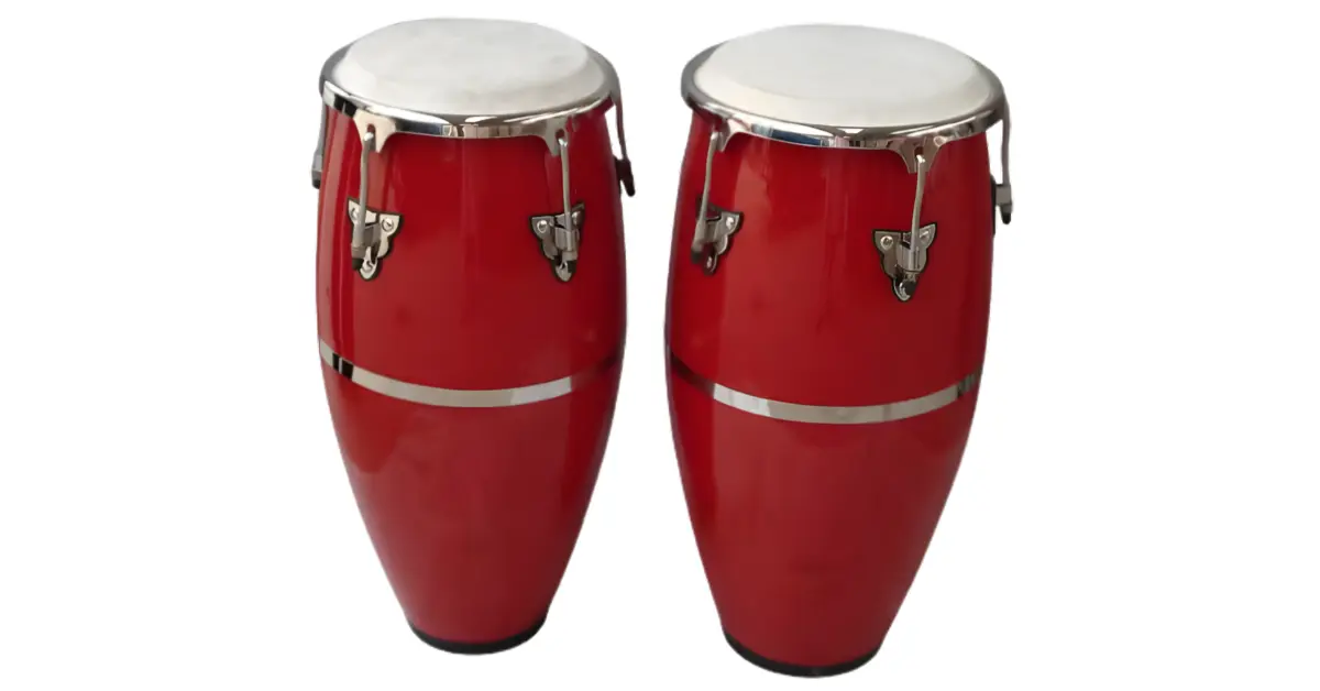 choosing the right percussion instruments for band india Congas