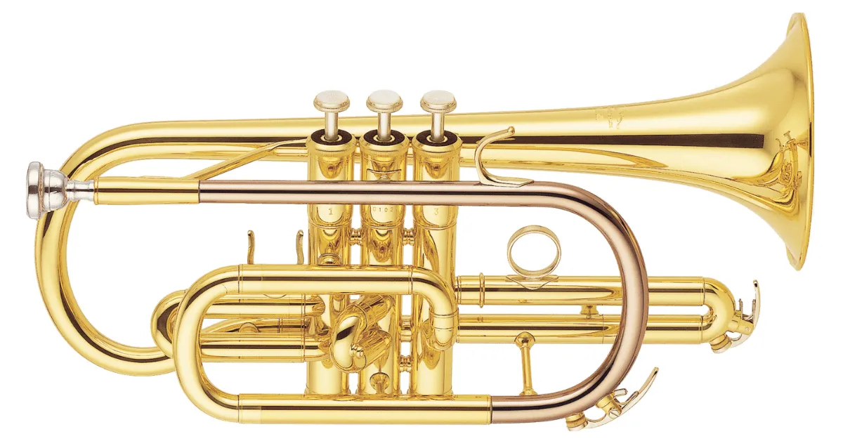 Cornet